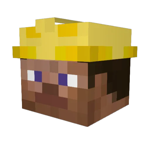 Harding1313 Minecraft avatar head, 3D render