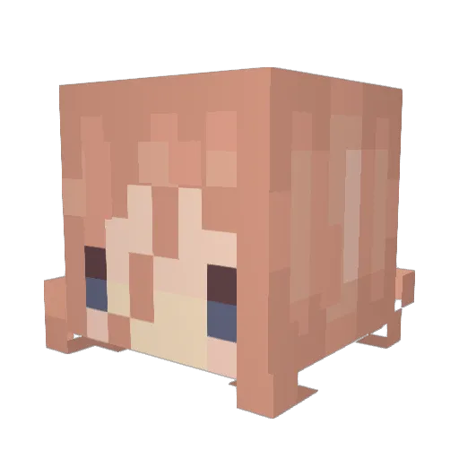 HardlyStellar Minecraft avatar head, 3D render