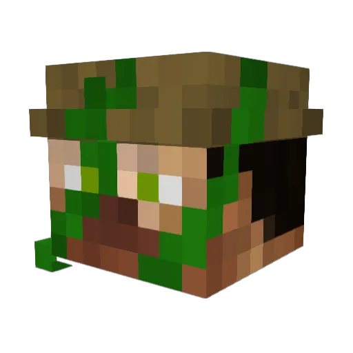 Hardwyn Minecraft avatar head, 3D render