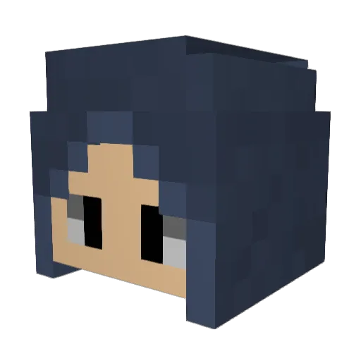 Hardy_Boyz Minecraft avatar head, 3D render