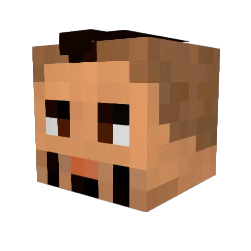 Hardyluski Minecraft avatar head, 3D render