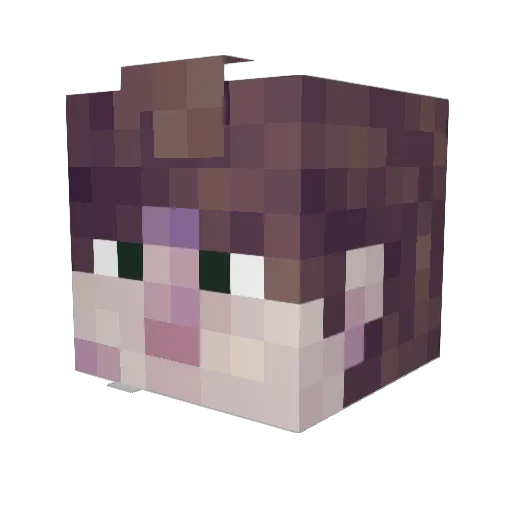 Haredi Minecraft avatar head, 3D render