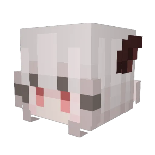 Hareu23 Minecraft avatar head, 3D render