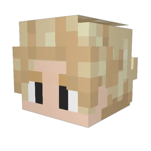 Hari_xD Minecraft avatar head, 3D render