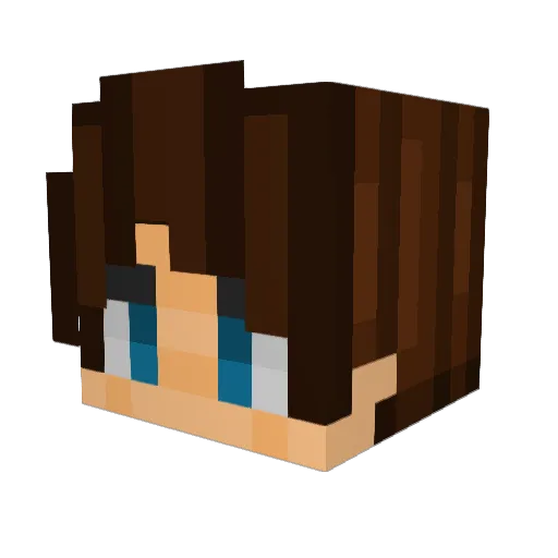 HariboBie Minecraft avatar head, 3D render