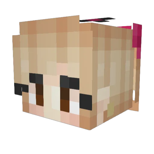 Harleeeyyy Minecraft avatar head, 3D render