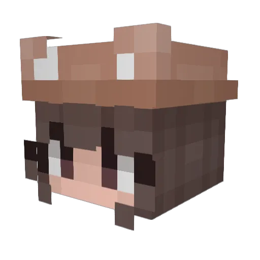 Harley7511 Minecraft avatar head, 3D render
