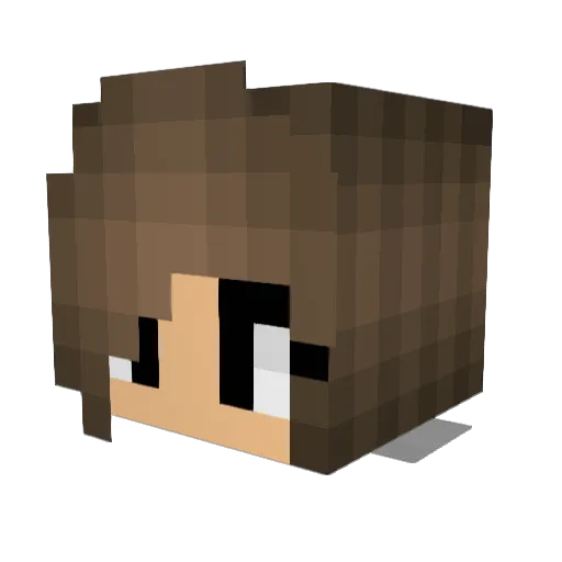 HarleyBacon08 Minecraft avatar head, 3D render