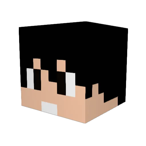 HarleyChickPS3 Minecraft avatar head, 3D render