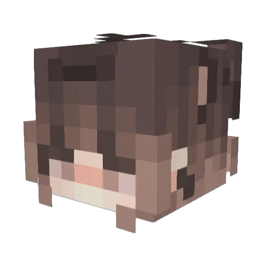 HarleyQuinnOG Minecraft avatar head, 3D render
