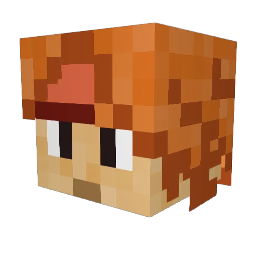Harleyy Minecraft avatar head, 3D render