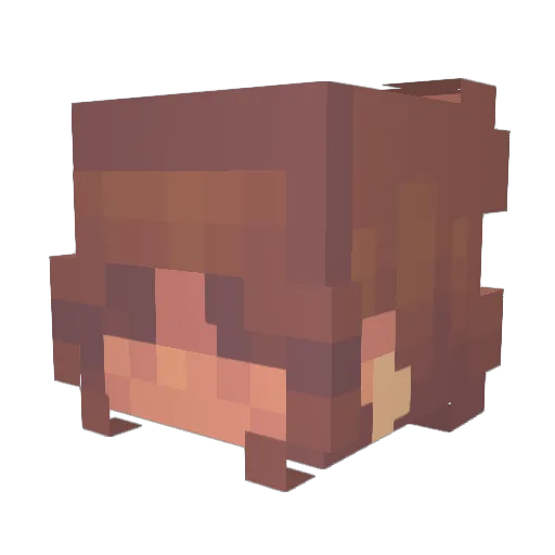 Harmeet710 Minecraft avatar head, 3D render