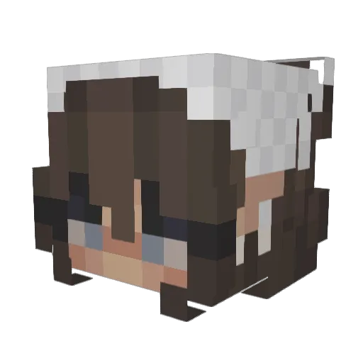 Harmful_Current Minecraft avatar head, 3D render