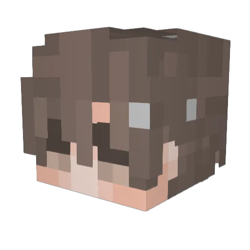 Harmfulfile Minecraft avatar head, 3D render
