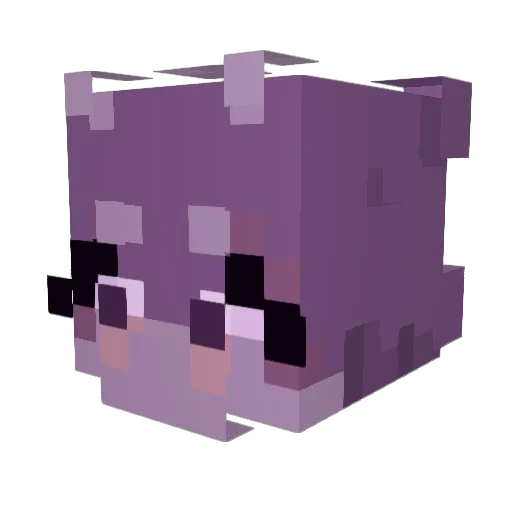 HarmonicAbyss8 Minecraft avatar head, 3D render
