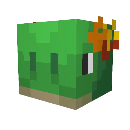 HarmonicTurtle Minecraft avatar head, 3D render