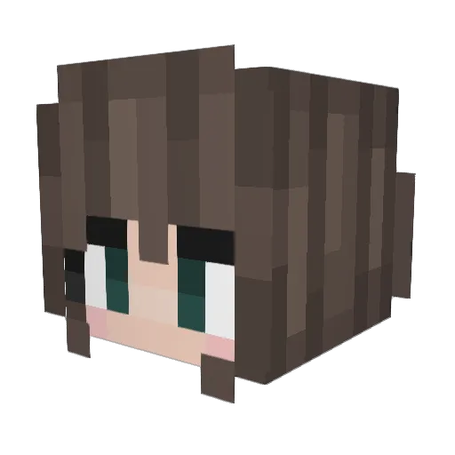 HarmonyFloyd767 Minecraft avatar head, 3D render