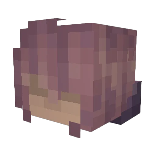 HarmonyGirl101 Minecraft avatar head, 3D render