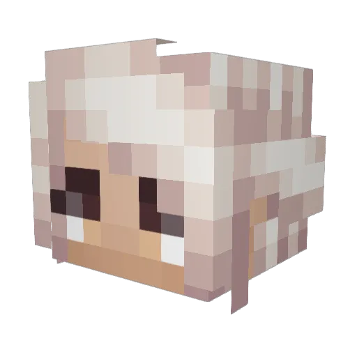 Harnix_ Minecraft avatar head, 3D render