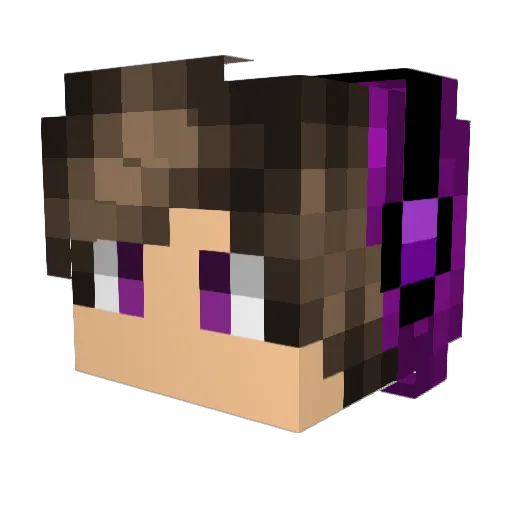 Haroldo_Einstein Minecraft avatar head, 3D render