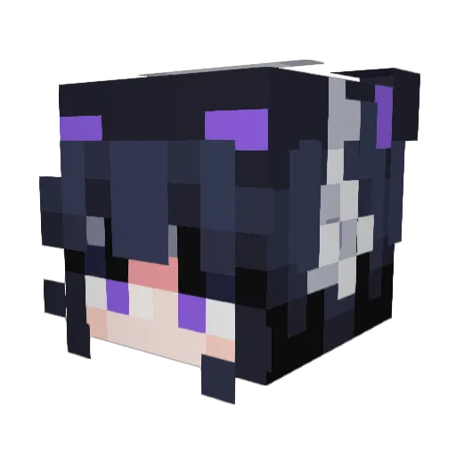 Harp2728 Minecraft avatar head, 3D render