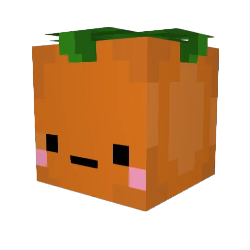 HarpCarrot5 Minecraft avatar head, 3D render