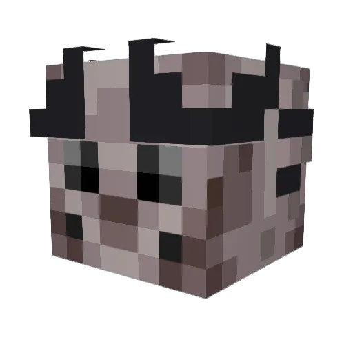 Harpeizanae Minecraft avatar head, 3D render