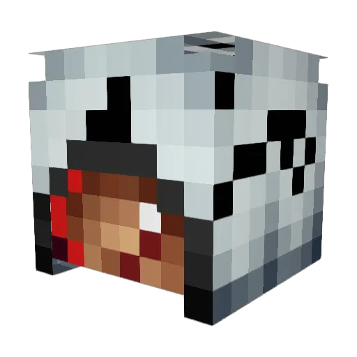 Harprit Minecraft avatar head, 3D render