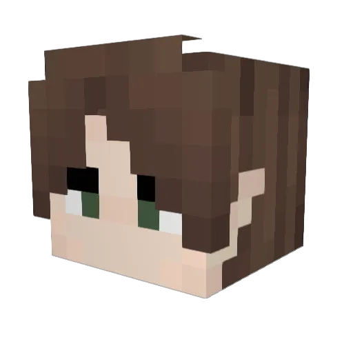 Harpun_ Minecraft avatar head, 3D render