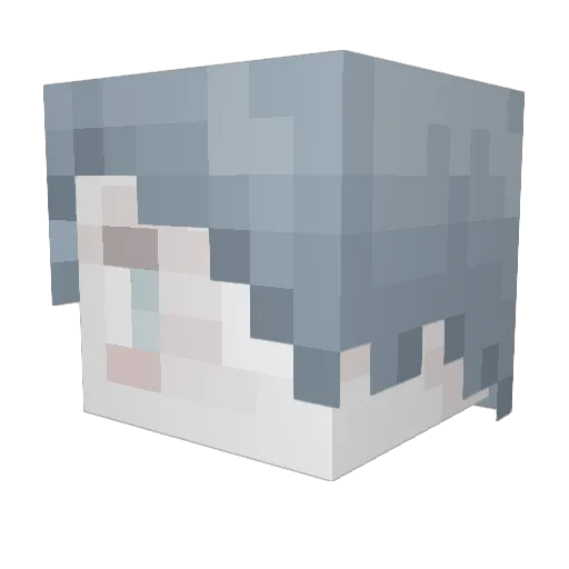 HarpyAshes Minecraft avatar head, 3D render