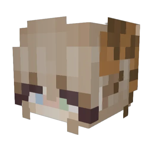 Harpymimis Minecraft avatar head, 3D render