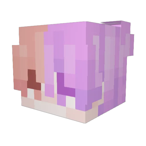 HarrazNur Minecraft avatar head, 3D render