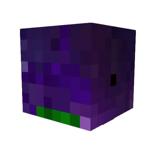 HarreBarre69 Minecraft avatar head, 3D render