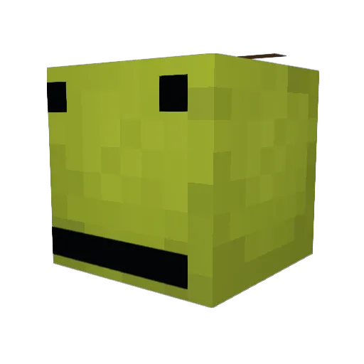 Harriettlol Minecraft avatar head, 3D render