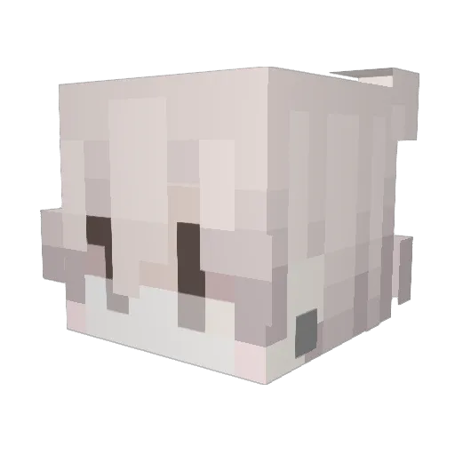 HarrisIsHere Minecraft avatar head, 3D render