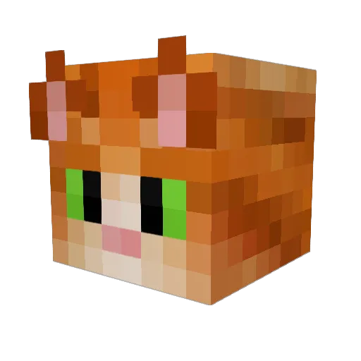 Harrison0634 Minecraft avatar head, 3D render