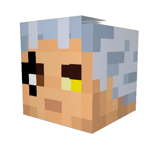 HarrisonTT Minecraft avatar head, 3D render