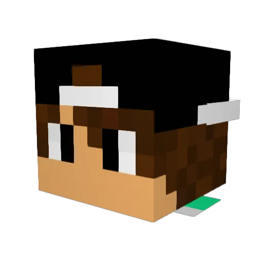 Harry1061 Minecraft avatar head, 3D render
