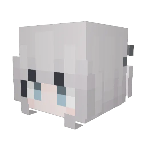 Harry14152 Minecraft avatar head, 3D render