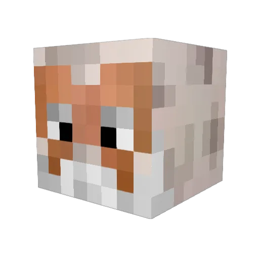 HarryDazzle Minecraft avatar head, 3D render