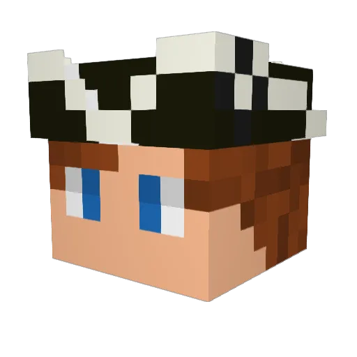 HarryHighPants10 Minecraft avatar head, 3D render