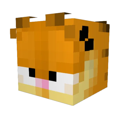 HarryJediHbomb Minecraft avatar head, 3D render
