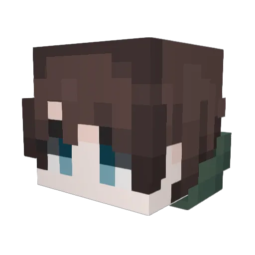 HarryOtter13 Minecraft avatar head, 3D render