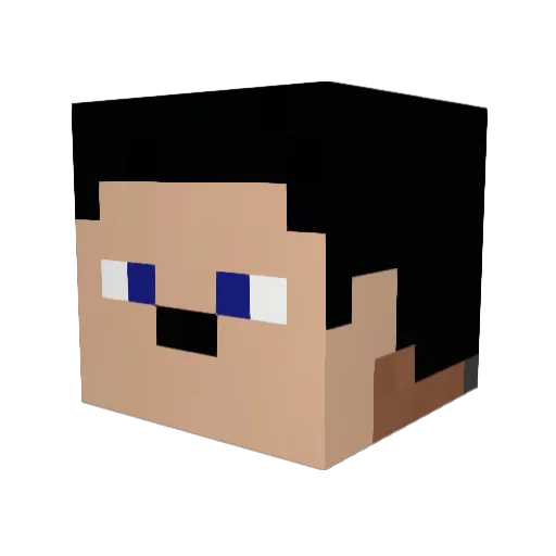 HarryOtter345 Minecraft avatar head, 3D render