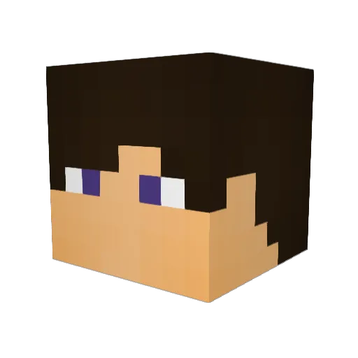 HarryPorco_PVP Minecraft avatar head, 3D render