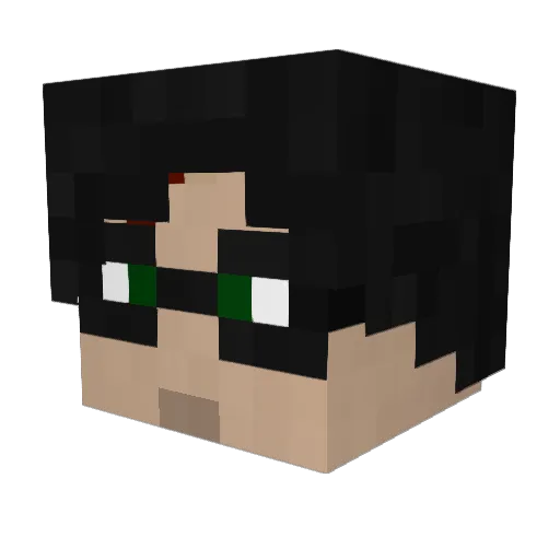 HarryPotter1243 Minecraft avatar head, 3D render