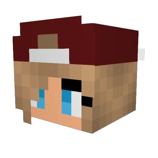 HarryPotter6573 Minecraft avatar head, 3D render