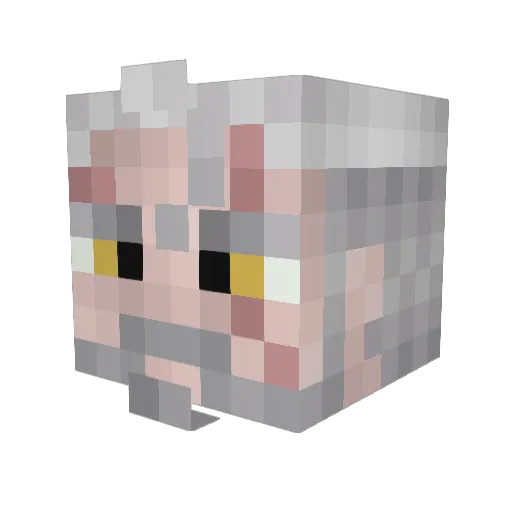 HarryR2001 Minecraft avatar head, 3D render