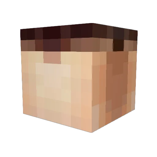 HarryRTXOn Minecraft avatar head, 3D render