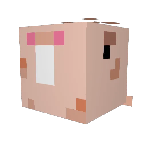 HarryTheWookie8 Minecraft avatar head, 3D render